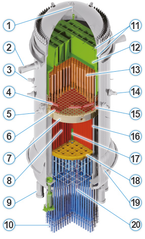 The Reactor Pressure Vessel sectioned diagram with labels 1 to 20 corresponding with the list below